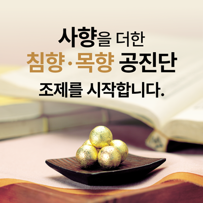 침향목향조제시작-팝업.png